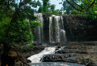 Trekking nella Jungle e conservazione degli elefanti (B/L)