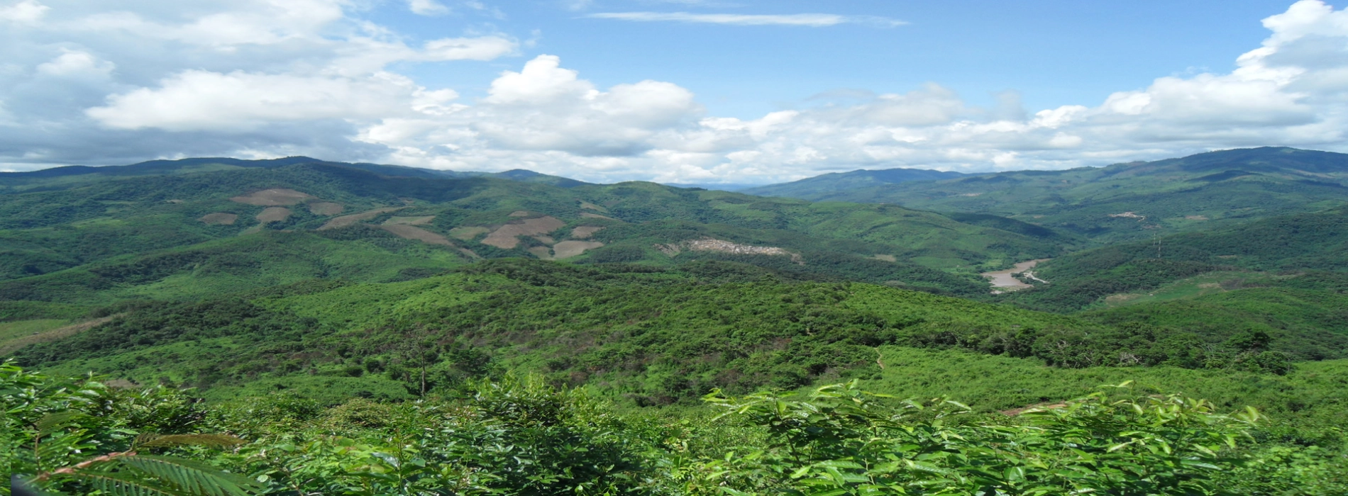 Phongsaly