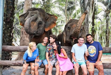 Osservazione degli elefanti nel parco nazionale di Krabi