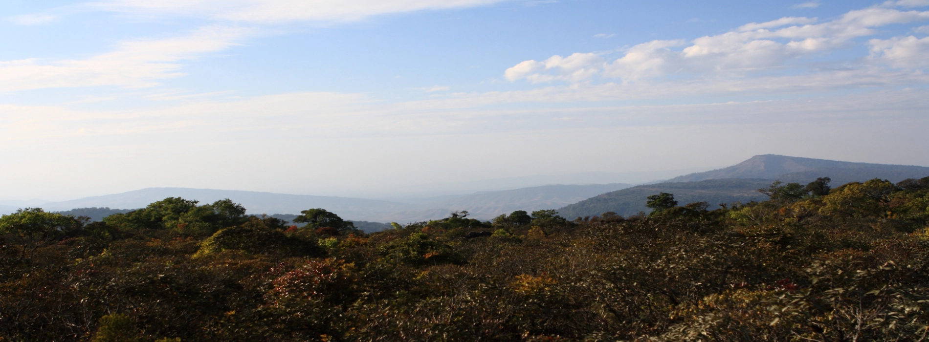 Santuario faunistico di Phu Luang