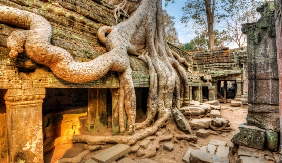 Tour in Cambogia 12 giorni - Scopri la cultura unica della Cambogia