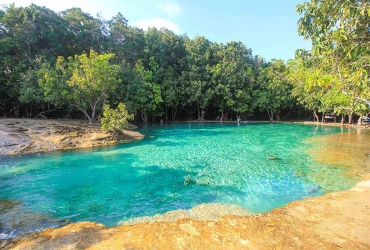Tour nella giungla di Krabi