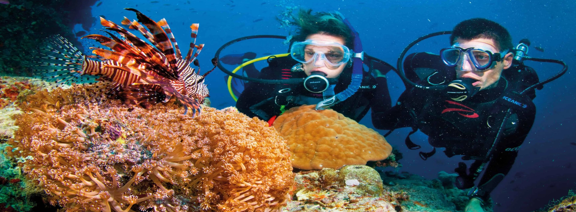 Immersioni subacquee in Vietnam: i migliori siti sottomarini