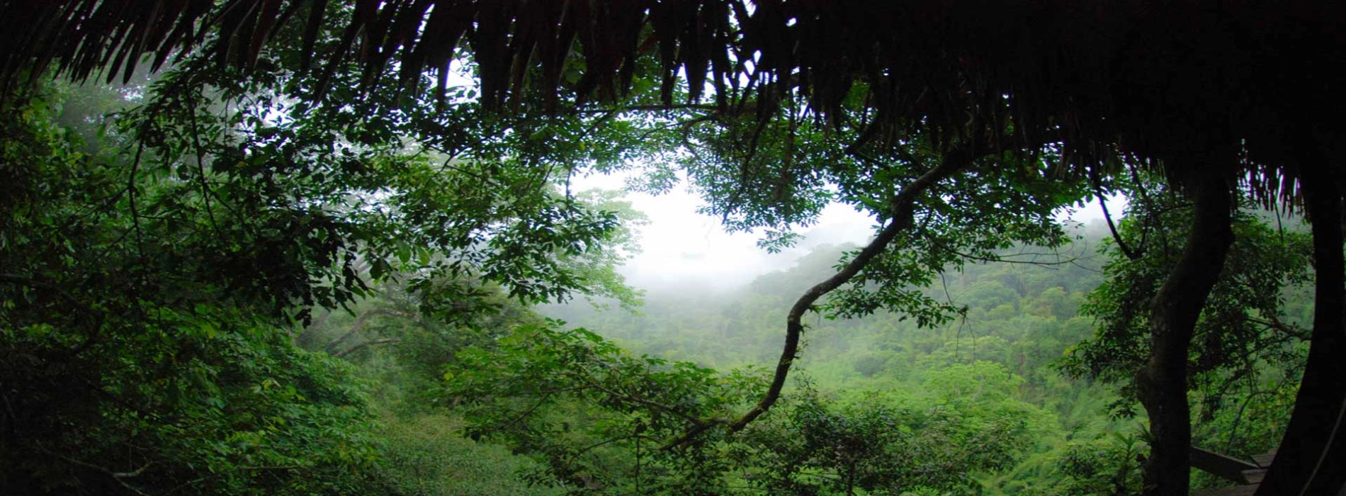 Esperienze di turismo ecologico in Laos