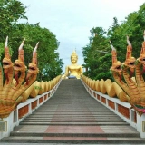 Tour in Pattaya 4 giorni - Immergersi natura e cultura