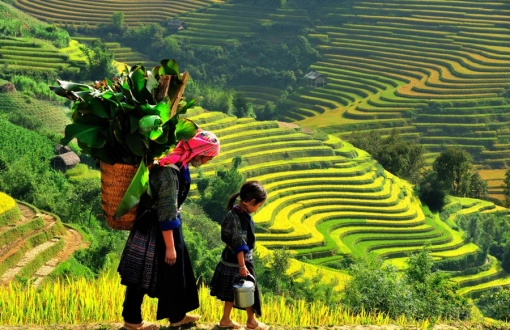 Campagna vietnamita: scoprite i luoghi più ideali