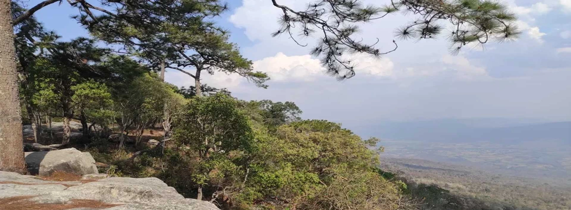 Parco Nazionale Phu Kradueng