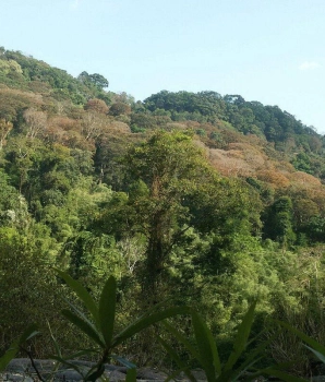 Parco Nazionale di Virache - Viaggio breve 2 giorni tra cascate e trekking