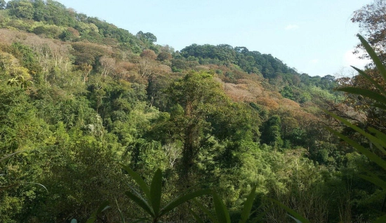Parco Nazionale di Virache - Viaggio breve 2 giorni tra cascate e trekking