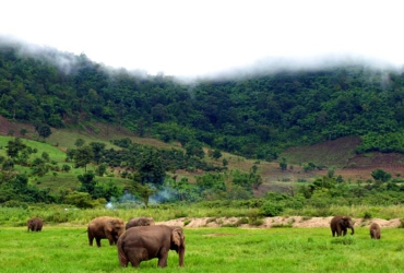 Paesaggi e Cascata Bou Sra a Mondulkiri