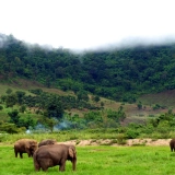 Tour d'avventura di Mondulkiri in 2 giorni e 1 notte