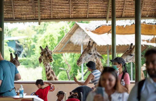 Parchi di divertimento in Thailandia: Un mondo di emozioni