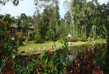 Pakse - villaggio di Ban Nong Luang