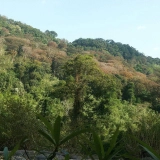 Phnom Penh – Ratanakiri trekking 5 giorni: Bellezza selvaggia