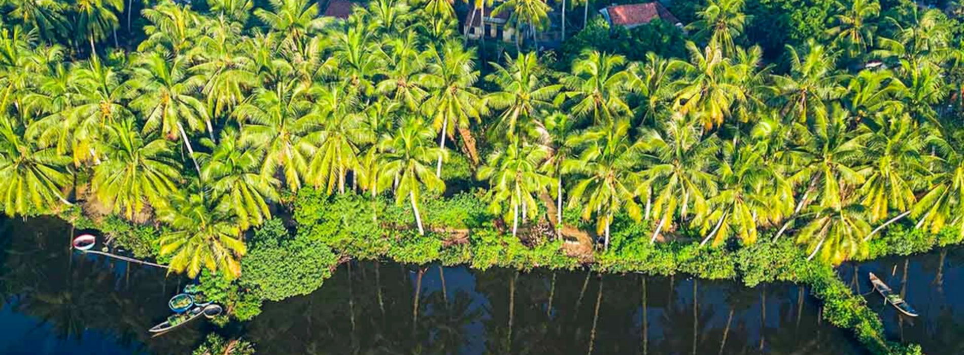 Innamorarsi del fiume: Tour di Ben Tre 2 giorni e 1 notte