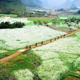 Viaggio breve di Moc Chau 2 giorni - Scoperta dell’altopiano del Vietnam