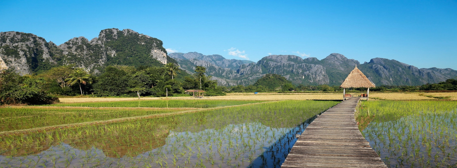 Viaggio in Laos a Febbraio