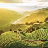 Trekking Mu Cang Chai - Vietnam 4 giorni