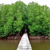 Koh Kong: Un paradiso naturale da esplorare in 3 giorni