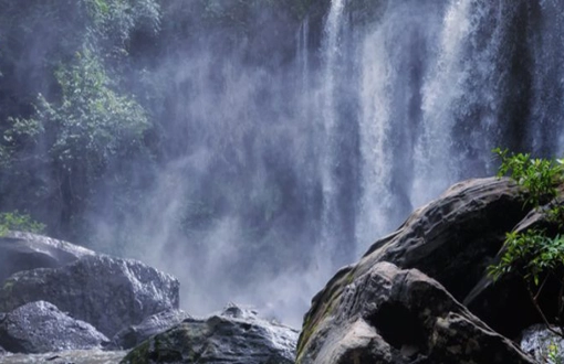Avventure nella natura: i 5 parchi nazionali imperdibili della Cambogia