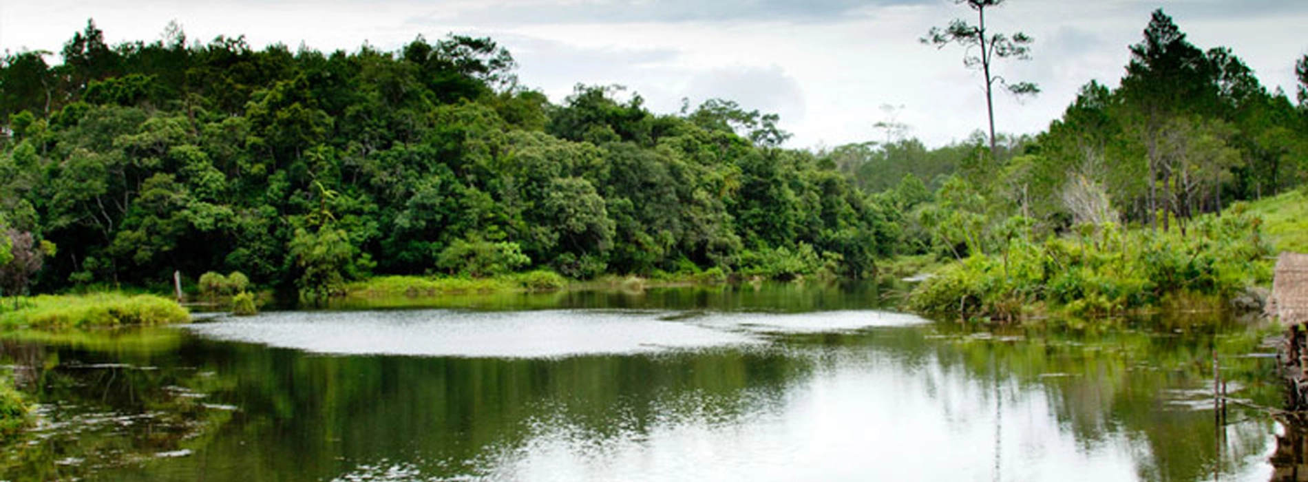 Avventure nella natura: i 5 parchi nazionali imperdibili della Cambogia