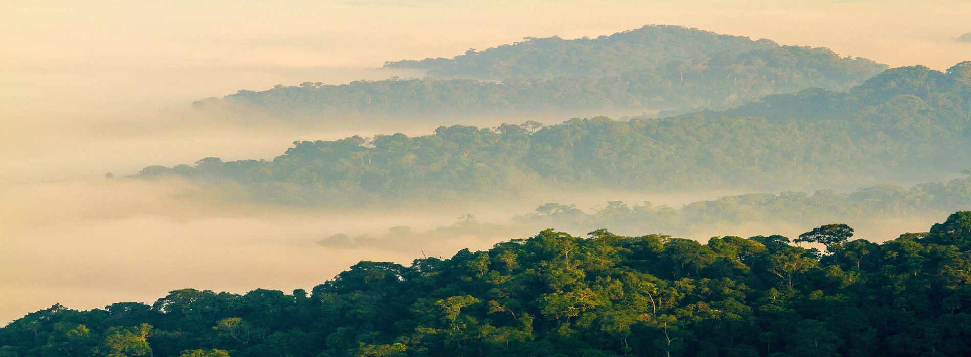 Scoprire la natura tailandese pedalando a Kaeng Krachan