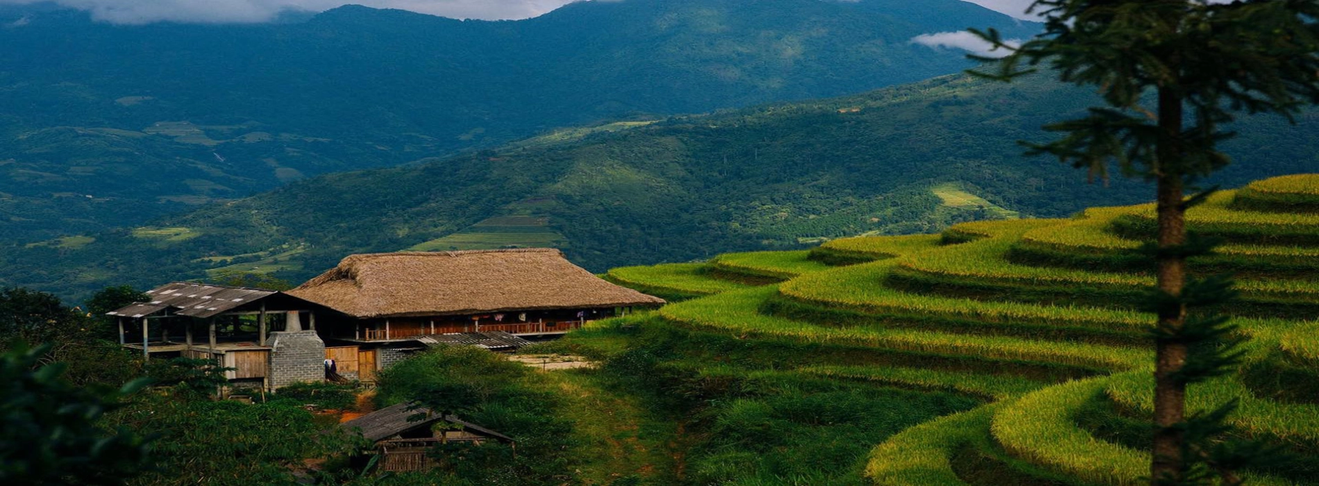 Qual è il periodo migliore per visitare Ha Giang?