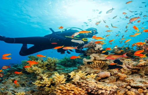 Immersioni subacquee a Hoi An: un'esperienza da non perdere