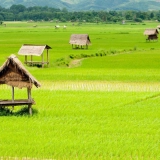 Tour di 3 Giorni e 2 Notti a Luang Namtha