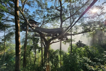 Gibbon Experience – Avventura nella giungla
