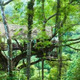 Tour di 3 giorni e 2 notti a Bokeo – Avventura nella natura e cultura del Laos