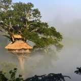 Tour di 2 giorni e 1 notte a Bokeo – Natura, villaggi e relax sul Mekong