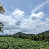 Tour di 3 Giorni e 2 Notti a Pailin – Alla scoperta della natura, della spiritualità