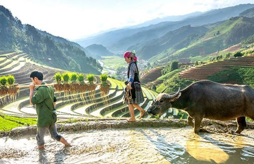 Viaggio Verde: Turismo Responsabile in Vietnam