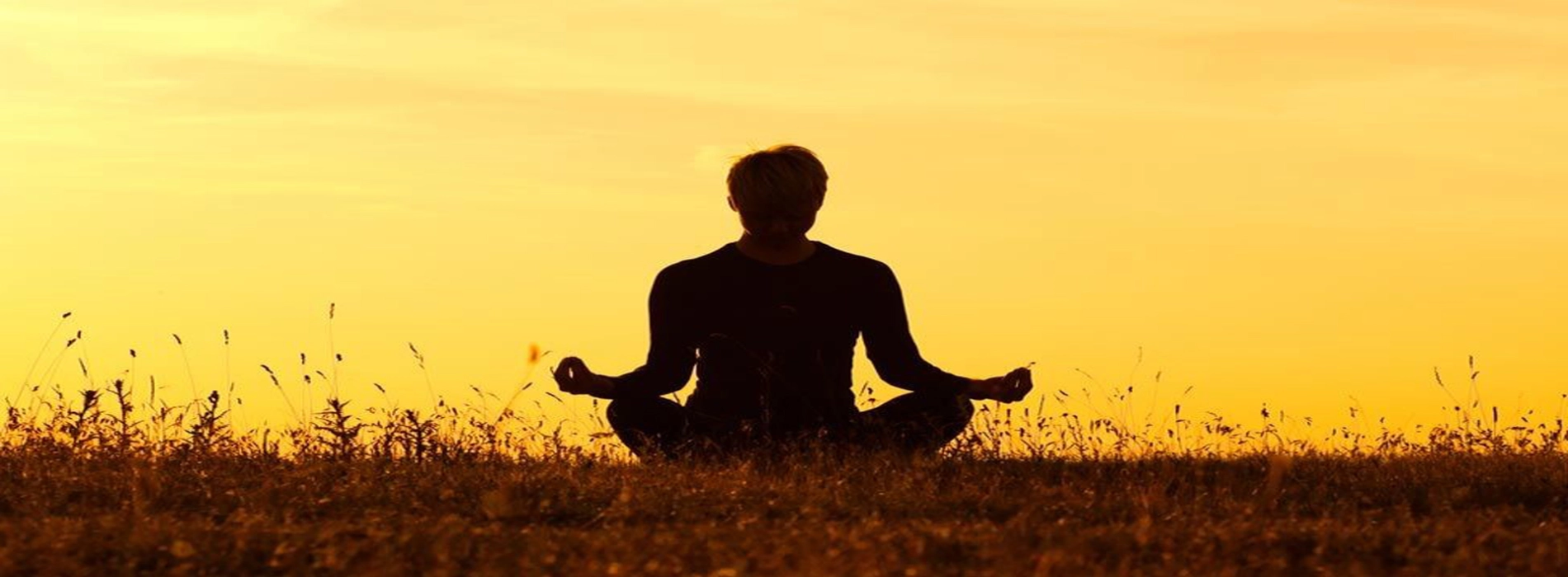 Vipassana in Cambogia: Meditazione e Guarigione Interiore