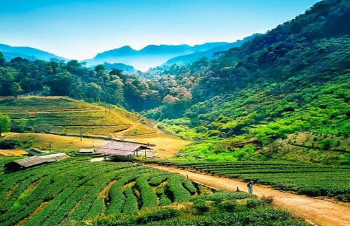 Thailandia con lentezza: un viaggio tra natura e tradizione