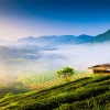 Chiang Mai o Phuket: dove andare per il viaggio perfetto