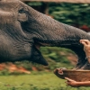 Viaggio in Thailandia a Giugno