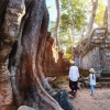 3 Motivi Principali per Visitare la Cambogia con i Bambini 2025