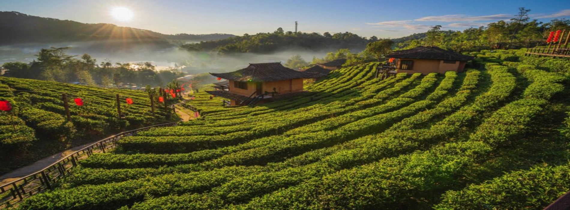 Viaggio nel Nord Thailandia: Tra Templi, Montagne e Tradizioni