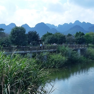 Bat Canh Son