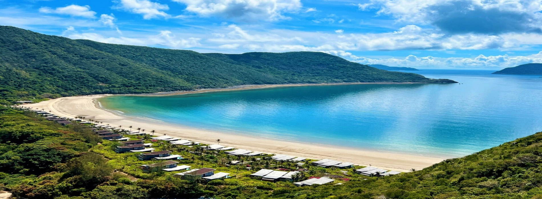 Seconda tartaruga marina albina nata a Con Dao