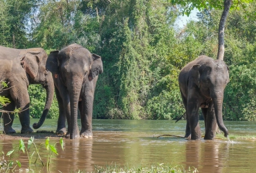 Chiang Mai - Chiang Dao (B)