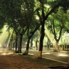 Autunno ad Hanoi – Una sinfonia di sapori e ricordi