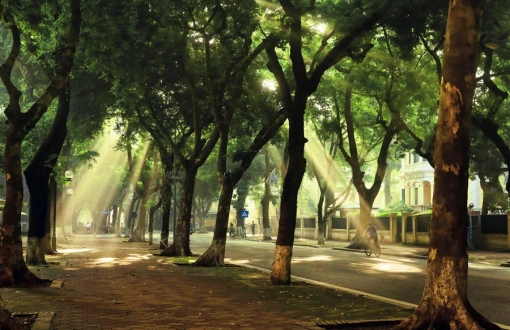 Autunno ad Hanoi – Una sinfonia di sapori e ricordi