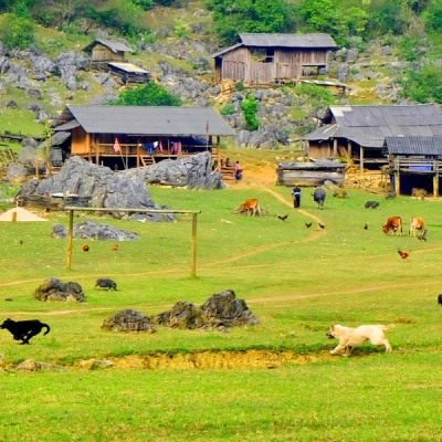 Hang Tau