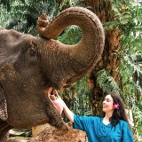 Tour in Krabi 3 notti e 4 giorni: esperienza sulla Costa Smeralda