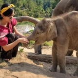 Tour in Chiang Rai 4 giorni: incantevole esplorazione