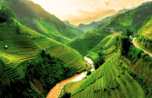 9 Consigli Essenziali per un Viaggio Indimenticabile ad Ha Giang