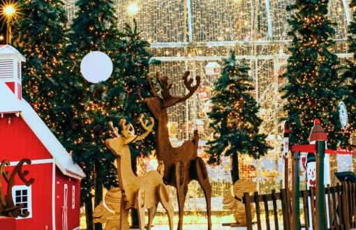 Natale in Vietnam: La Tua Checklist di Viaggio